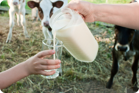Is Raw Milk Safe? What You Need to Know